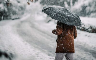 Slips and Falls at Businesses in the Winter