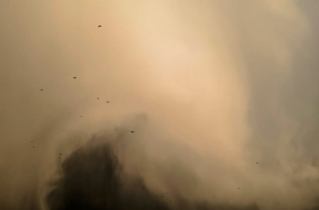 If the Snowstorms Don’t Get You, the Dust Storms Will