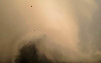 If the Snowstorms Don’t Get You, the Dust Storms Will